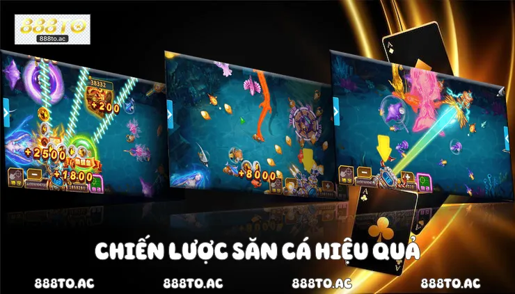 Chiến lược săn cá hiệu quả