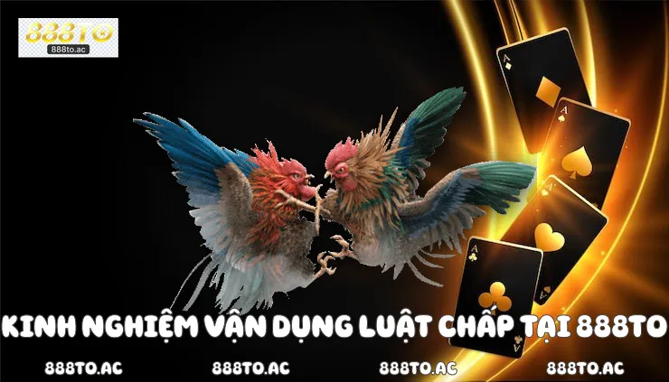 Kinh nghiệm vận dụng luật chấp tại 888TO