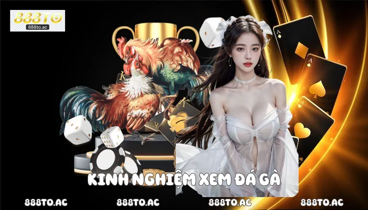 Kinh nghiệm xem đá gà 