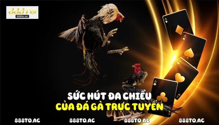 Sức hút đa chiều của đá gà trực tuyến