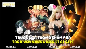 Trường gà thomo