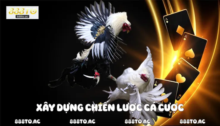 Xây dựng chiến lược cá cược